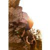 Men's Rab Ascendor Light Shorts