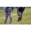OMM Halo Pant Men's Waterproof Pants