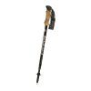 FIZAN Compact 4 Trekking Poles