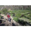 Rab Torque Men's Pants