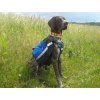 Mountainsmith Dog Pack K9 Dog Bag