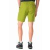 Men's Rab Momentum shorts