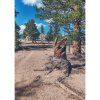 Book Dreaming in the Mountains - Pacific Crest Trail