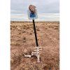 Book Dreaming in the Wilderness - Continental Divide Trail