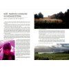 Alone in the Scottish Highlands