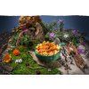 Kids' Adventure Menu Chicken Paprika