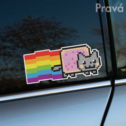 Nyan Cat R