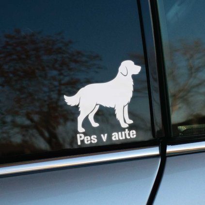 Plotrovaná nálepka so siluetou plemena Zlatý retriever a nápisom v technickom písme v znení Pes v aute.