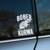 Plotrovaná nálepka na auto s motívom bobra v kreslenom štýle a nápisom „Bober Kurwa“ v robustnom výraznom písme.