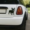 Plotrovaná nálepka na auto s výrazným siluetovým motívom francúzskeho buldočka bez sprievodného textu.