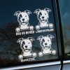Plotrovaná nálepka usmiaty pitbull s labkami a vlastným textom, ideálna nálepka na auto pre milovníkov psov a plemena stafford.