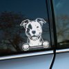 Plotrovaná nálepka usmiaty pitbull s labkami na okraji, detailne kreslený motív ideálny ako nálepka na auto pre milovníkov psov.