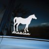 Plotrovaná nálepka arabského koňa s jemne spusteným chvostom a nápisom „Arabian“, precízny tvar a elegantný postoj.