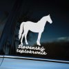 Plotrovaná nálepka slovenského teplokrvníka v elegantnom postoji s dlhým chvostom, doplnená nápisom „Slovenský teplokrvník“.