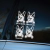 Plotrovaná nálepka, sada štyroch grafík psa **Shiba Inu** s textom **"DOG ON BOARD"** a **"LABKY NA PALUBE"** pre personalizovaný car styling.