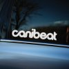 Plotrovaná nálepka na auto s logom canibeat, zaoblený nápis s plynulým prechodom písmen „b“ a „e“ do slučkového tvaru.