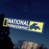 National Pornographic