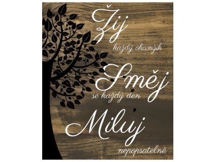 Cedulka Žij, Směj se, Miluj
