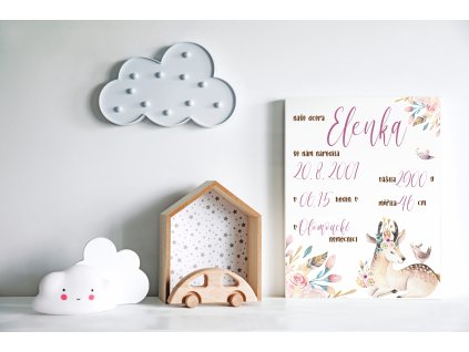 pokoj jelínek holčička