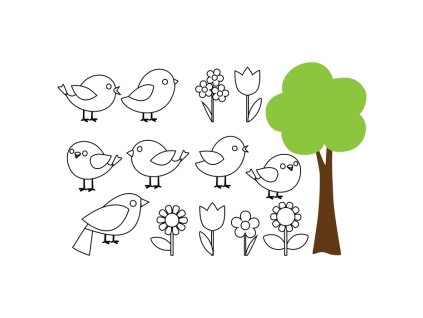 omalovánky - Ptačí svět