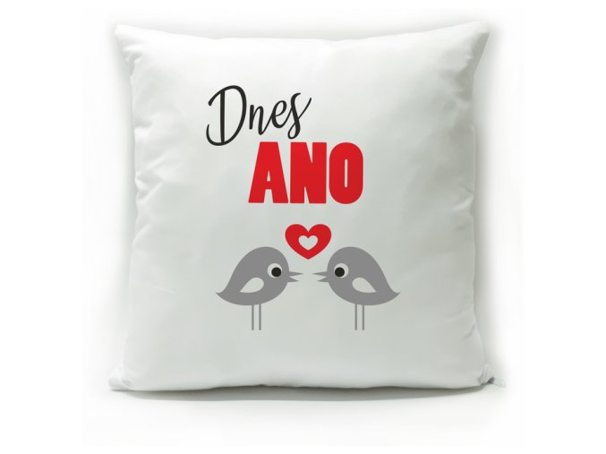 Polštář Dnes ANO, dnes NE