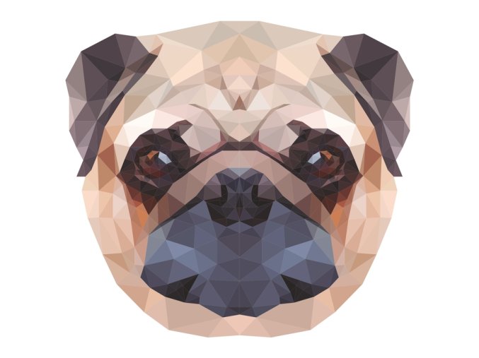 Mops