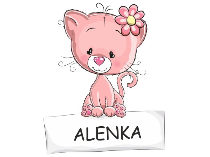 Jmenovka kočička holčička