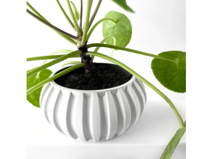 aldenpot