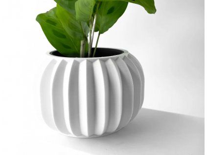 olinpot