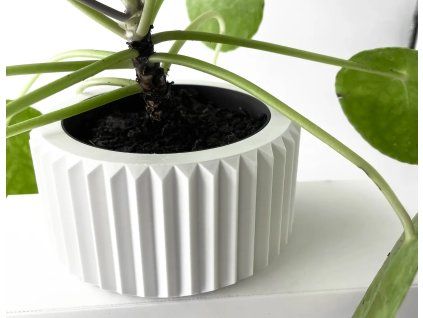 rilaspot