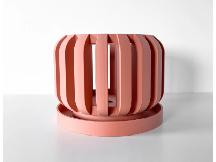 frenororchidpot