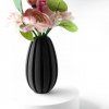 ganivase
