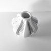 elvoxvase2