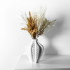 elvoxvase