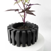 erlinpot