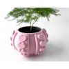frenorpot
