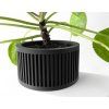 paxonpot