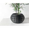 xanderpot