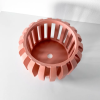 frenororchidpot2
