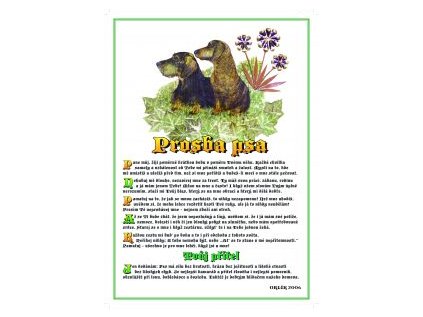 047 Prosba psa 215x300