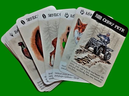 WhatsApp Image 2025 09 10 at 07.56.06