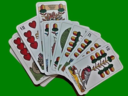 WhatsApp Image 2025 09 10 at 07.54.34