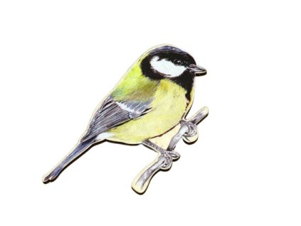 magnet tvar sykora konadra