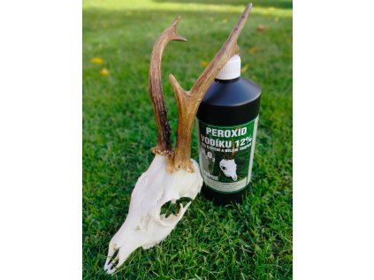 WhatsApp Image 2025 10 31 at 13.13.12