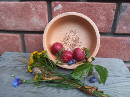 233154272 542317750439535 2740733409471756267 n