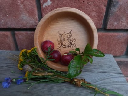 232587389 553035635881504 2898643609154335398 n