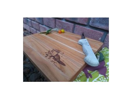 232227343 2938968102984758 3654320614825437834 n