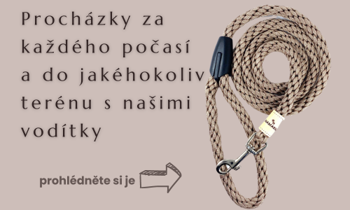 Vodítka