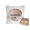 Vankúš s menom GABRIEL (Farba motívu Hnedá)