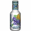 AriZona Blueberry White Tea 450ml